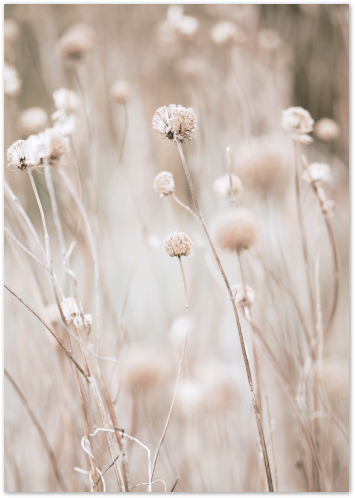 Posterux© | Soft Floral Grass Poster - Warm Beige Nature Print poster – premium wall art