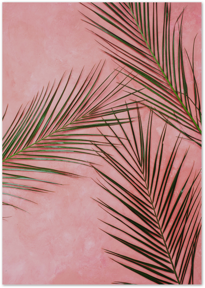 Posterux© | Pink Palm Leaves Poster - Tropical Nature Wall Print poster – premium wall art