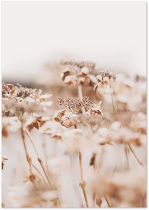 Posterux© | Golden Grass Nature Poster - Warm & Serene Wall Art poster – premium wall art