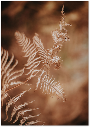 Posterux© | Wild Serenity Gallery Wall – Set of 5 Framed Posters poster – premium wall art