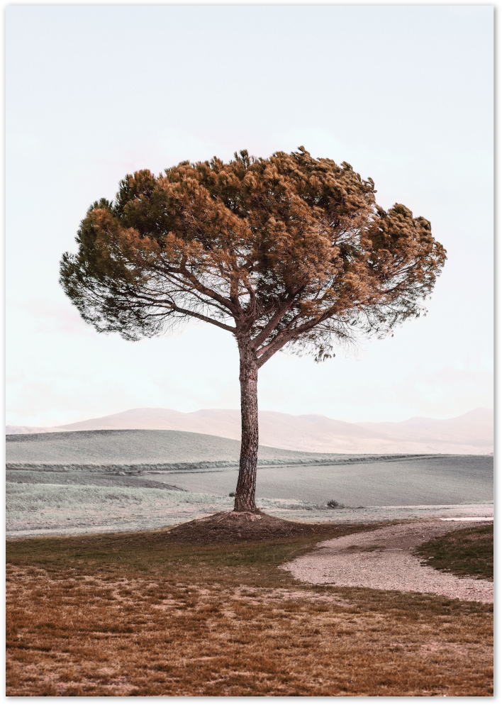 Posterux© | Solitary Tree – Serene Nature Poster poster – premium wall art