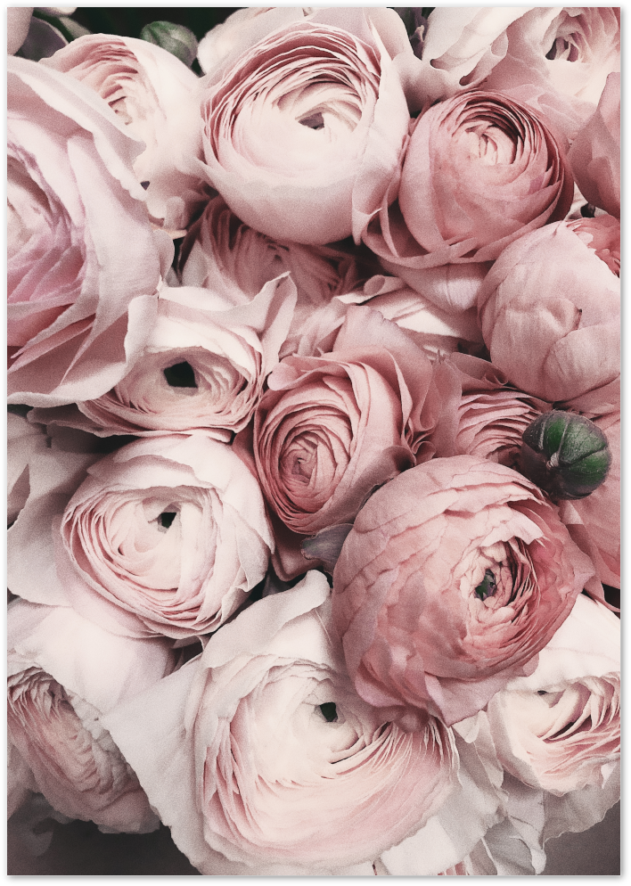 Posterux© | Peony Bloom – Vintage Floral Art Poster poster – premium wall art