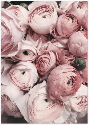 Posterux© | Peony Bloom – Vintage Floral Art Poster poster – premium wall art