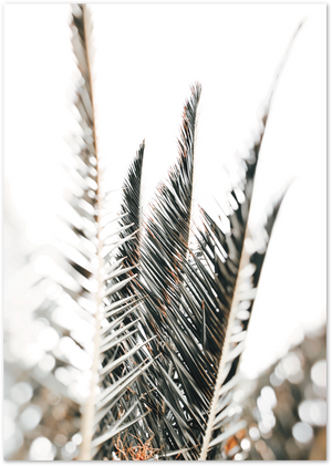 Posterux© | Palm Leaves – Minimalist Tropical Poster poster – premium wall art