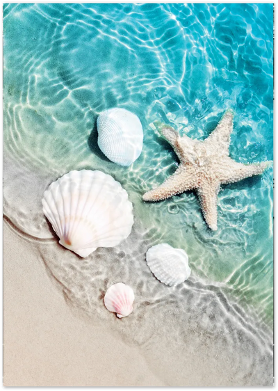 Posterux© | Seashell Reflections – Coastal Photography Poster poster – premium wall art