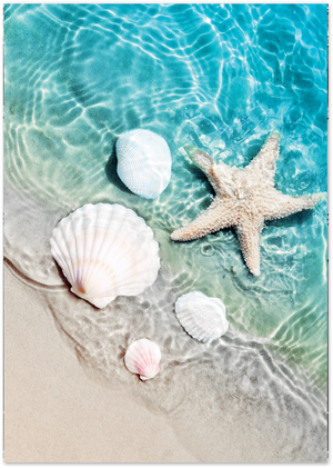 Posterux© | Seashell Reflections – Coastal Photography Poster poster – premium wall art