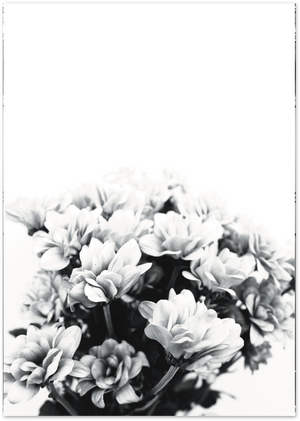 Posterux© | Black & White Floral – Minimalist Nature Poster poster – premium wall art