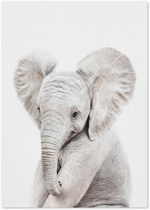 Posterux© | Baby Elephant – Minimalist Animal Poster poster – premium wall art