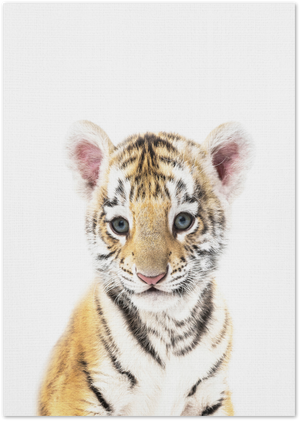 Posterux© | Baby Tiger – Bold Wildlife Poster poster – premium wall art