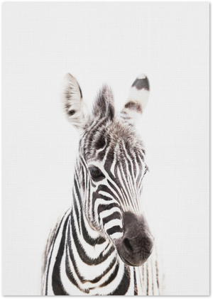Posterux© | Baby Zebra – Minimalist Safari Poster poster – premium wall art