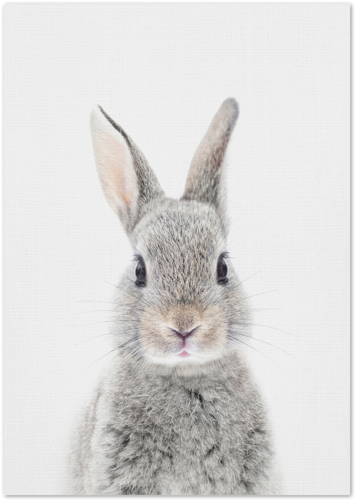 Posterux© | Baby Rabbit – Soft & Minimalist Poster poster – premium wall art