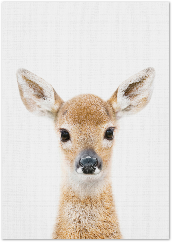 Posterux© | Baby Deer – Gentle Wildlife Poster poster – premium wall art