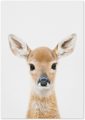 Posterux© | Baby Deer – Gentle Wildlife Poster poster – premium wall art