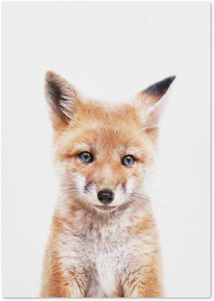 Posterux© | Baby Fox – Whimsical Forest Animal Poster poster – premium wall art