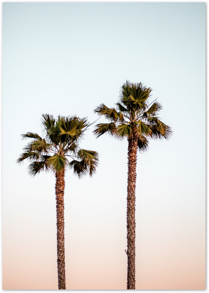 Posterux© | Palm Trees at Sunset Poster – Relaxing Tropical Art poster – premium wall art