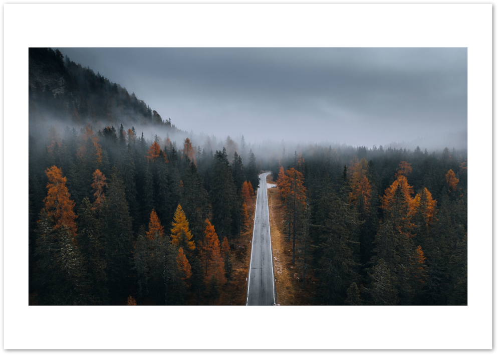 Posterux© | Autumn Forest Road Poster – Moody Landscape Photography poster – premium wall art