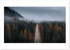 Posterux© | Autumn Forest Road Poster – Moody Landscape Photography poster – premium wall art