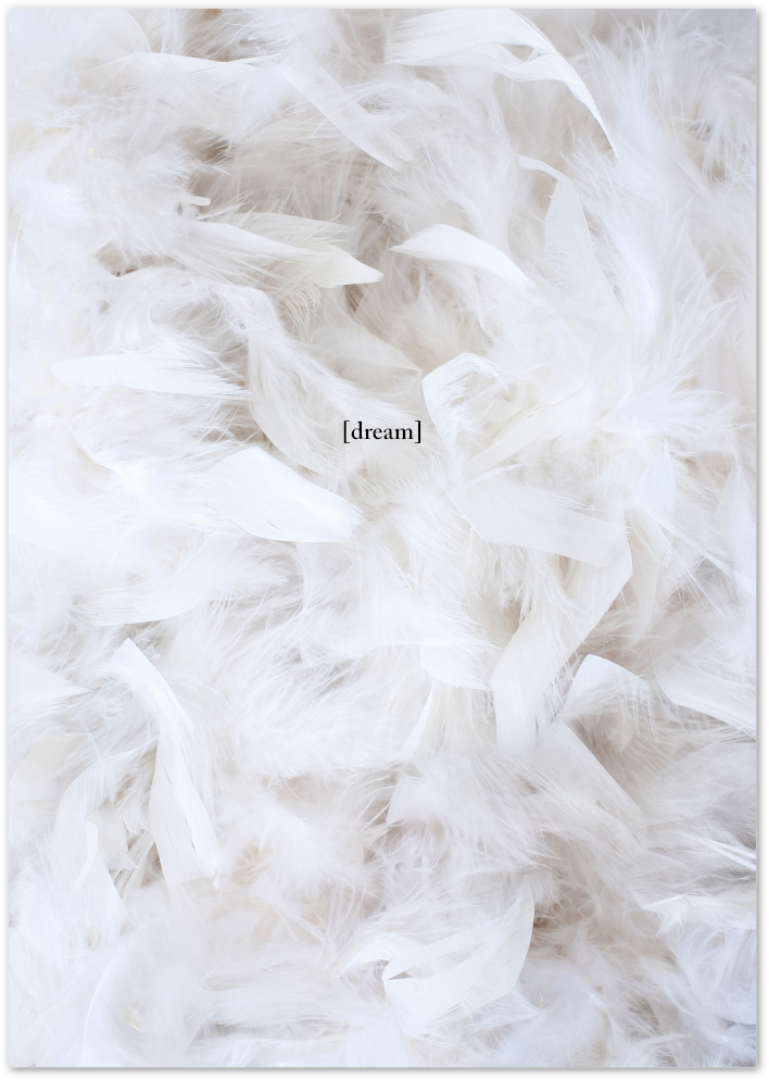 Posterux© | Dream Soft – White Feather Aesthetic Poster poster – premium wall art
