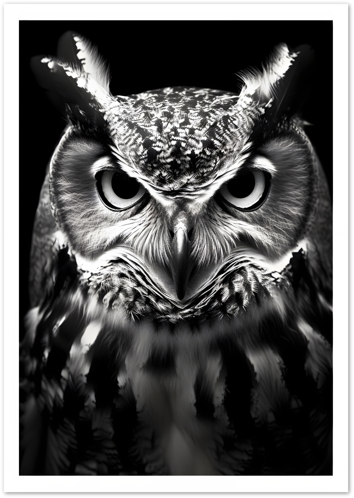 Posterux© | Staring Owl Poster – Intense Nocturnal Gaze poster – premium wall art