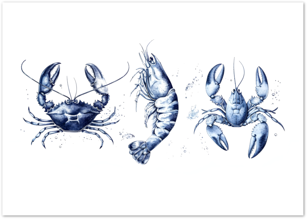 Posterux© | Blue Seafood Trio Poster – Vintage Coastal Kitchen Art poster – premium wall art