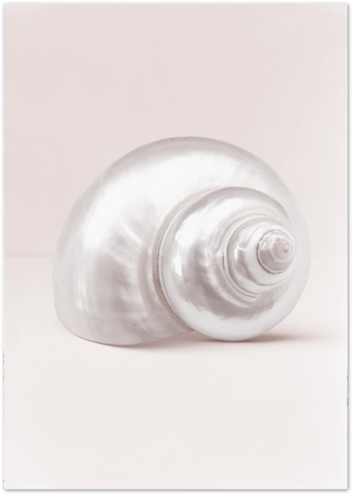Posterux© | Nautilus Spiral – Minimalist Shell Photography Poster poster – premium wall art