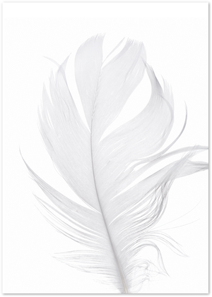 Posterux© | Soft Feather – Delicate Nature Photography Poster poster – premium wall art