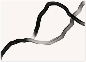 Posterux© | Fluid Ribbons Poster – Abstract Monochrome Flow poster – premium wall art