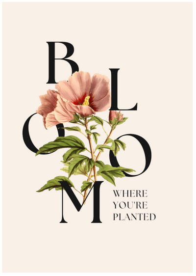 Posterux© | Bloom Where You’re Planted Poster – Botanical Typography Art poster